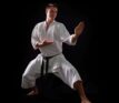 Nuovi Corsi di Karate